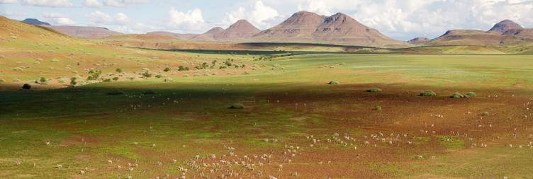 Damaraland Wonders