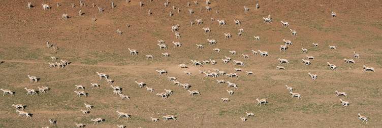 Head Deeper into Damaraland