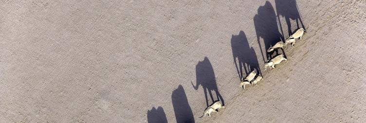 Discover Beautiful Damaraland