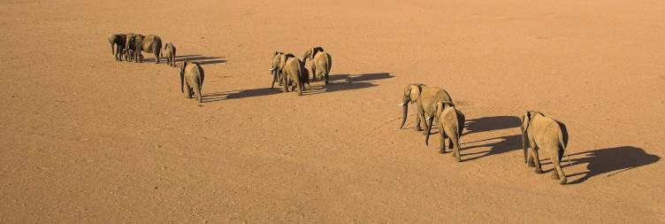 Explore the Damaraland area