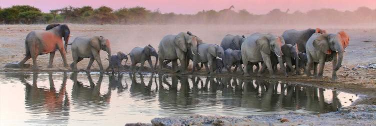 Windhoek to Etosha National Park
