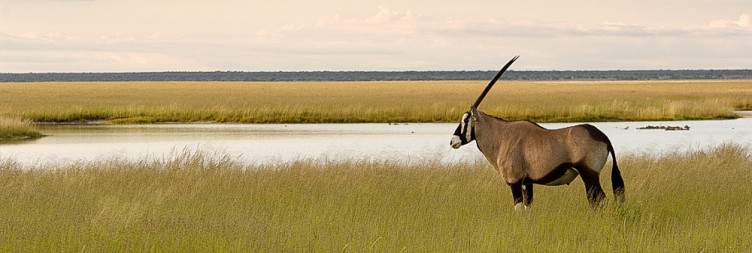 Etosha South