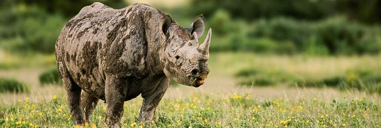 Etosha National Park