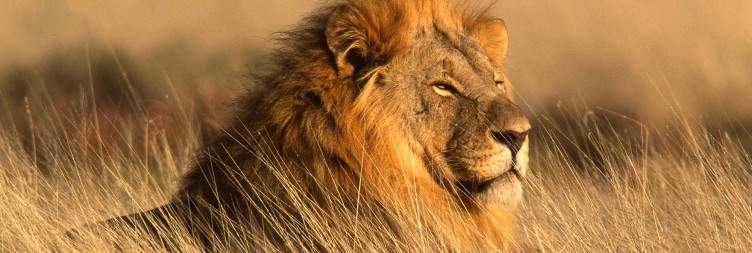 Damaraland to Etosha