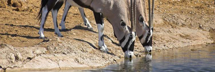 6-Day Taste of Namibia