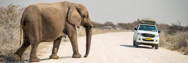 Etosha National Park