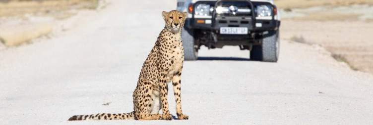 Etosha National Park