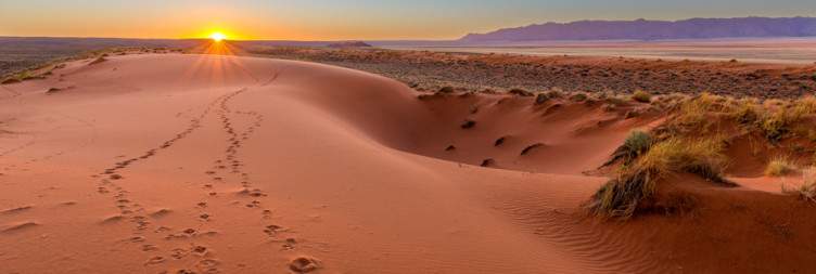 Kalahari Desert