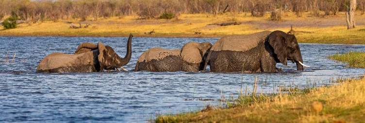 Bwabwata, Mudumu National Park & Chobe River Wilderness