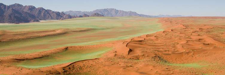 Aus to the Namib-Naukluft