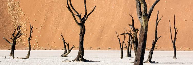 Exploring Sossusvlei