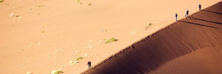 Explore the Namib Desert