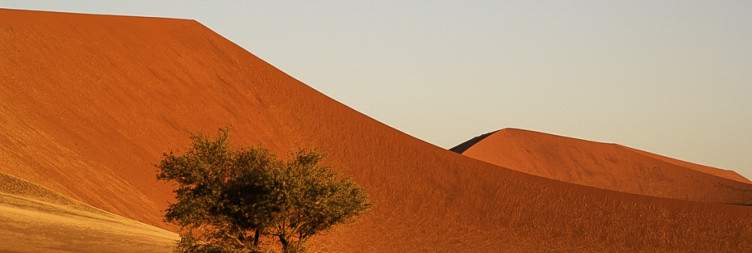 Activities in the Namib
