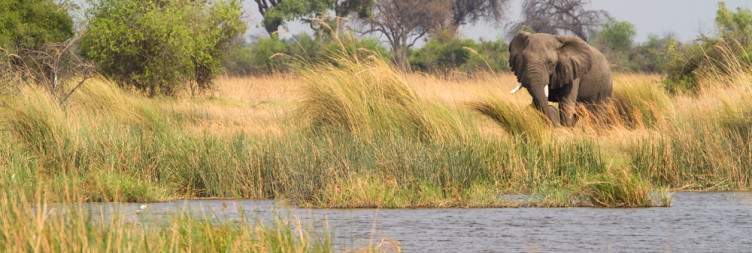 Nkasa Rupara National Park- A Journey via Mudumu National Park & Wetland Safari