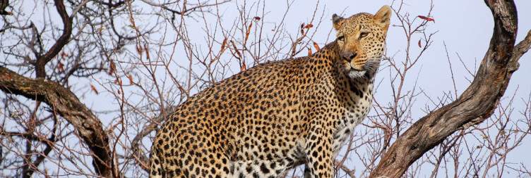 Etosha National Park to the Central Highlands