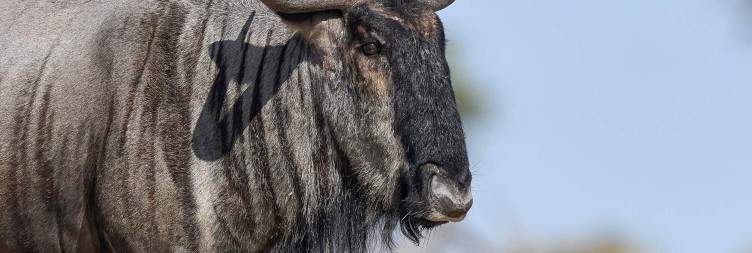 Otjiwarongo to Etosha National Park