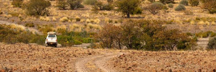 Etosha National Park to Palmwag