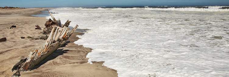 Skeleton Coast and Damaraland