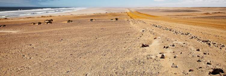 Private Charter from Sossusvlei to Skeleton Coast
