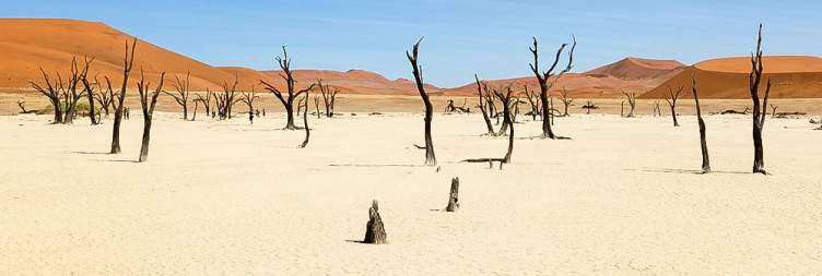 Windhoek to Sossusvlei