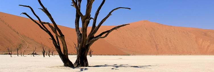 Aus and Off to Sossusvlei