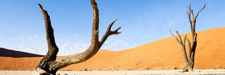 Sossusvlei