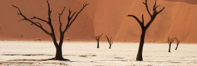 Sossusvlei