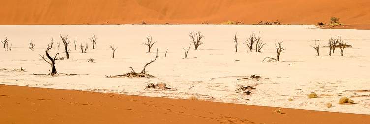 Sossusvlei