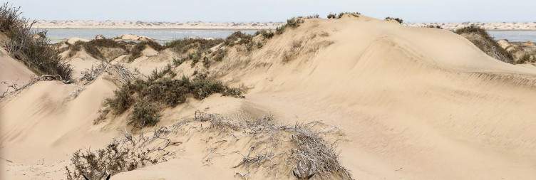 Skeleton Coast