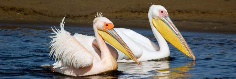 Windhoek to Walvis Bay