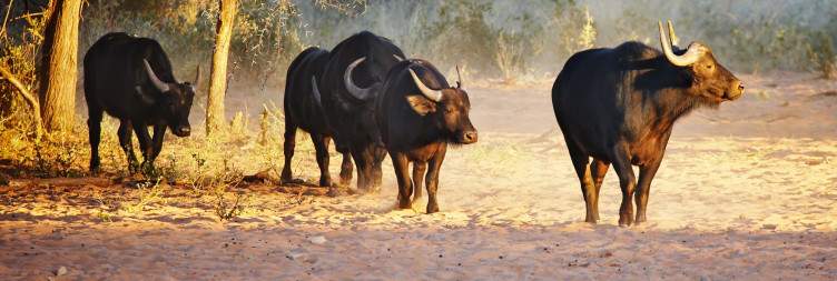 Arrival in Windhoek & Journey to Waterberg Plateau Park