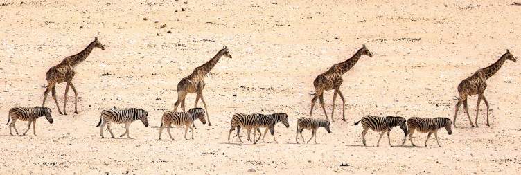 Etosha National Park
