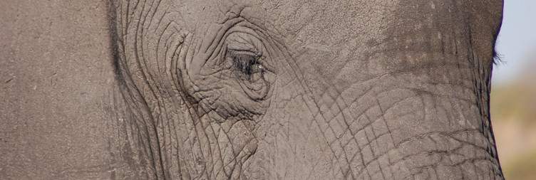 Chobe National Park