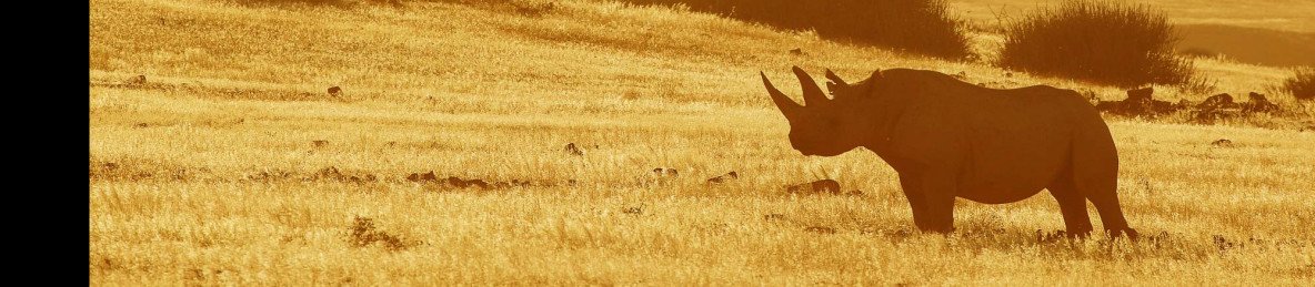 19-Day Namibia Self Drive Adventure