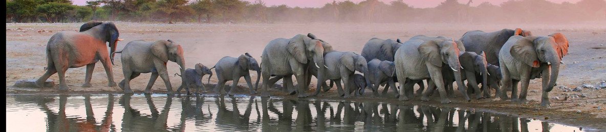 8-Day Private Guided Tour Sossusvlei Damaraland Etosha