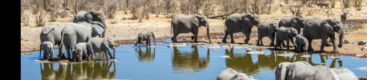 9-Day The Essence of Namibia Scheduled Tour