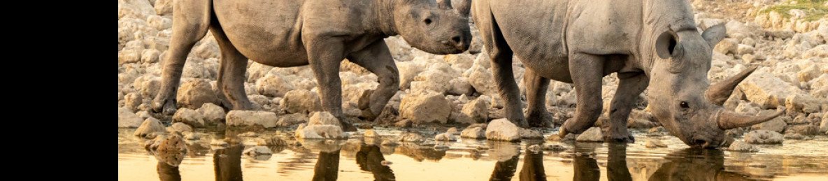 6-Day Namibia Highlights Flying Safari