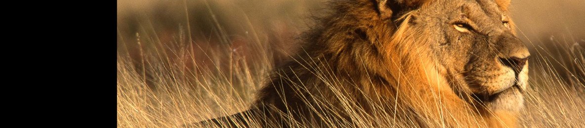 8-Day Classic Namibia Safari