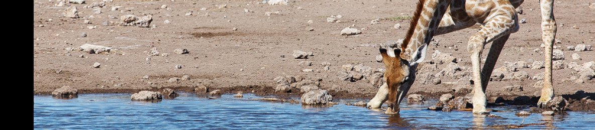 10-Day Special Highlights of Namibia