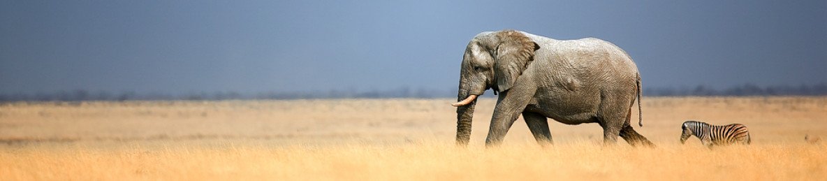 10-Day Classic Namibia