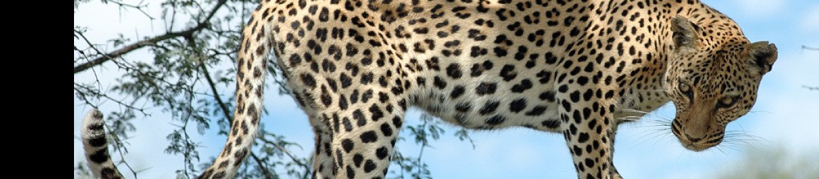 5-Day Taste of Etosha
