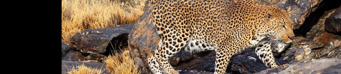 12-Day Self-Drive Namibia Attractions Safari