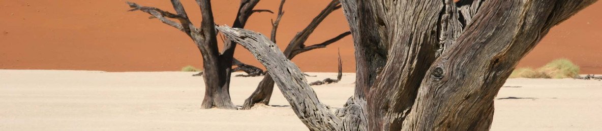 15-Day Windhoek to Victoria Falls