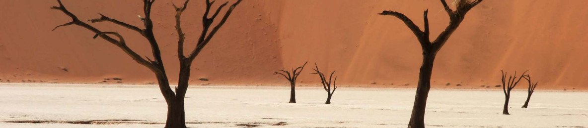 5-Day Best of Sossusvlei & Swakopmund from Windhoek