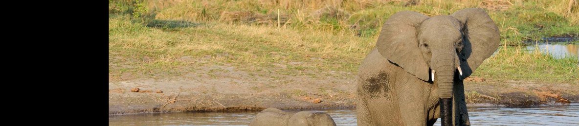 9-Day Northern Namibia Rivers, Wildlife & Waterfalls