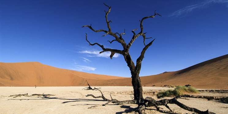 8-Day Best of Namibia