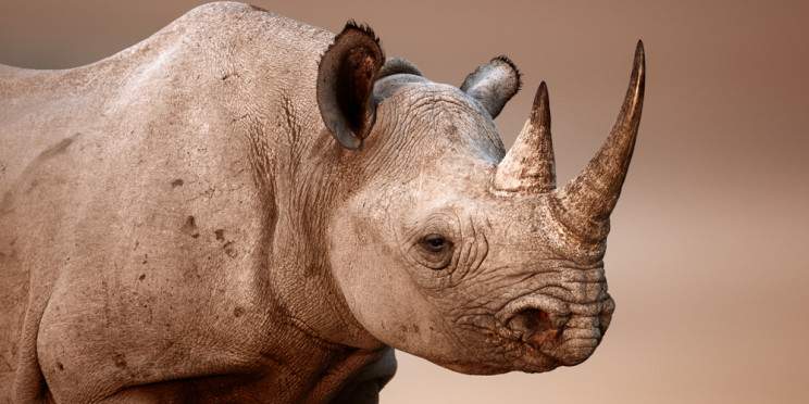7-Day Namibia Getaway Adventure