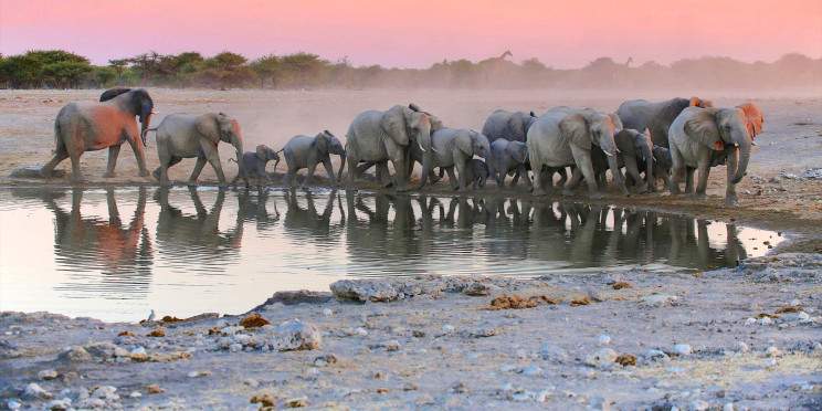 8-Day Private Guided Tour Sossusvlei Damaraland Etosha