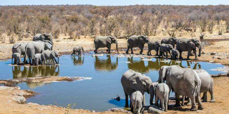 9-Day The Essence of Namibia Scheduled Tour