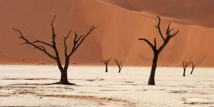 5-Day Best of Sossusvlei & Swakopmund from Windhoek